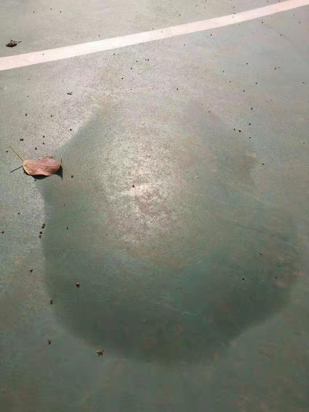 微信图片_20210118105620.jpg